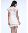 Women's Fashion Lace Sexy Dress